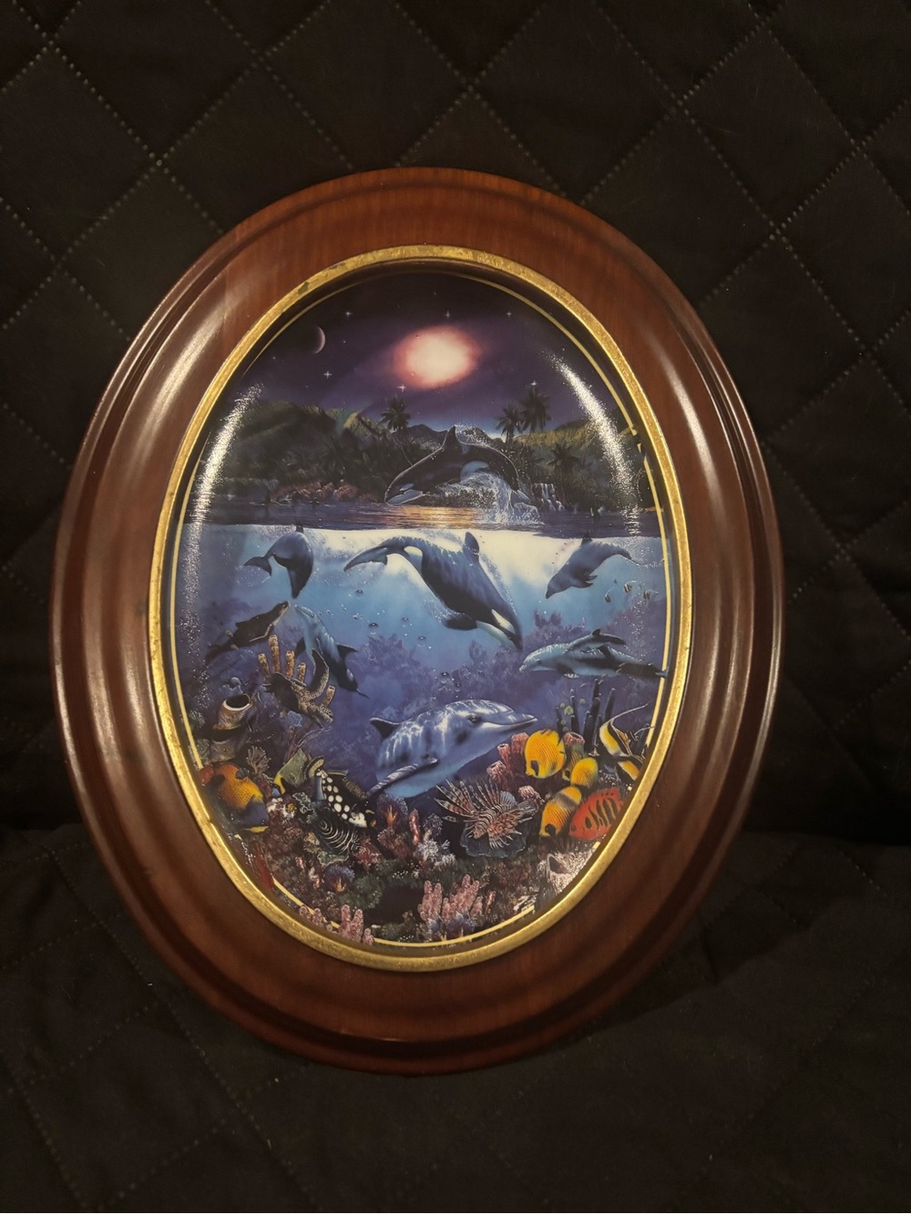 Rainbow Sea Above & Below collector plate with wood frame
